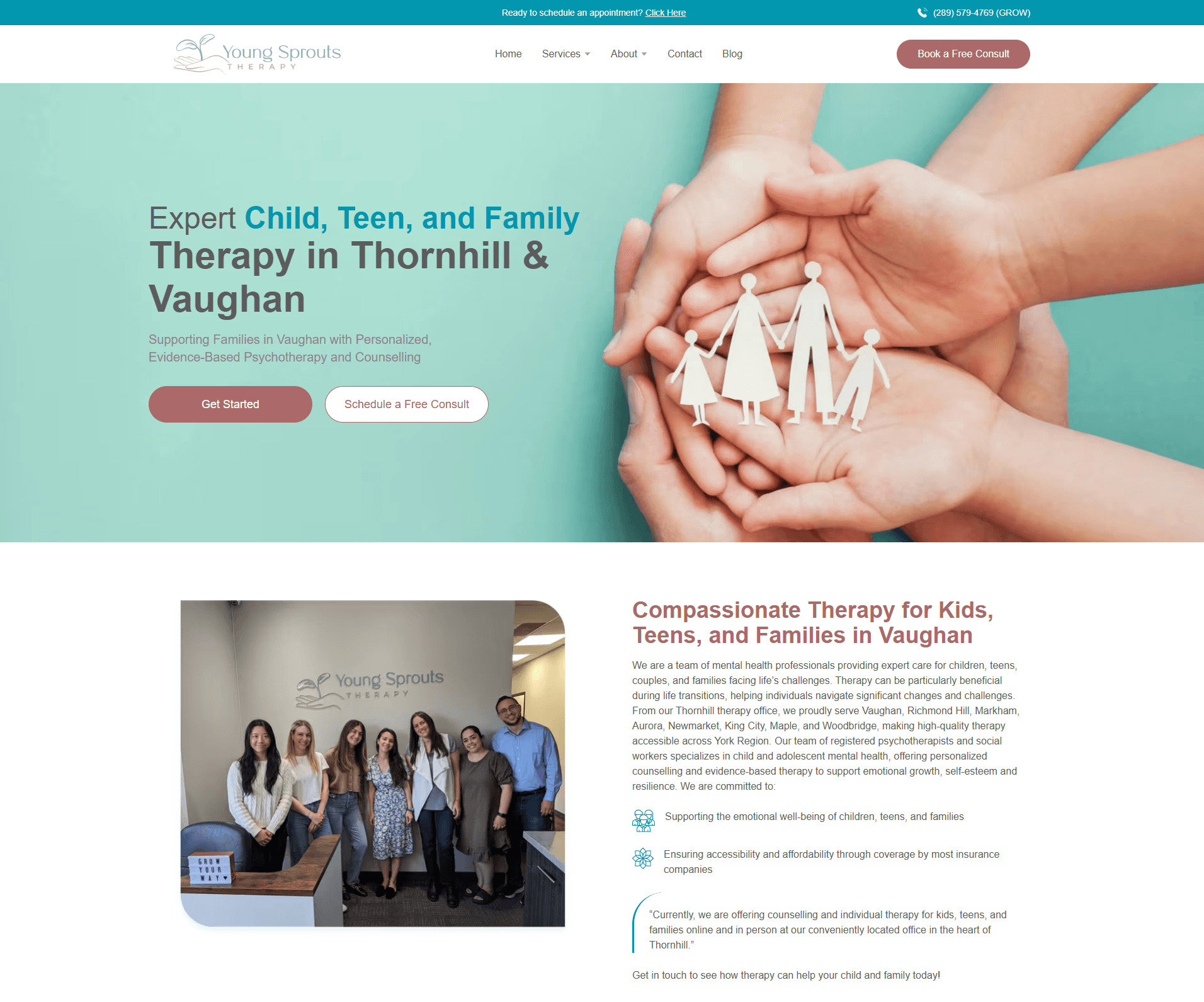Young Sprouts Therapy Website - Image 1